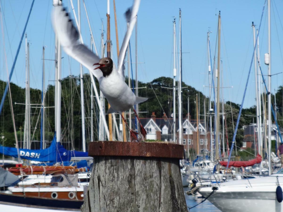 Bentleys Coast And Country B&B Lymington Εξωτερικό φωτογραφία